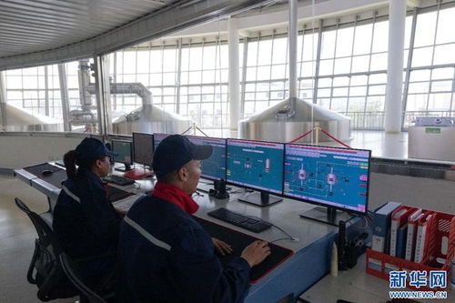 拉薩經(jīng)開區(qū) 科技驅動高原特色產(chǎn)業(yè)蓬勃發(fā)展